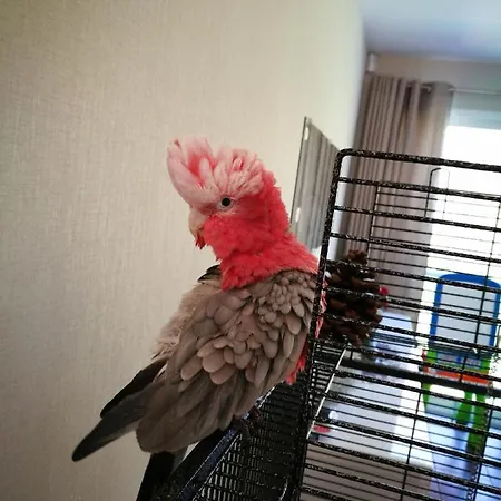 Celine Et Jose Privat bolig Cubzac-les-Ponts