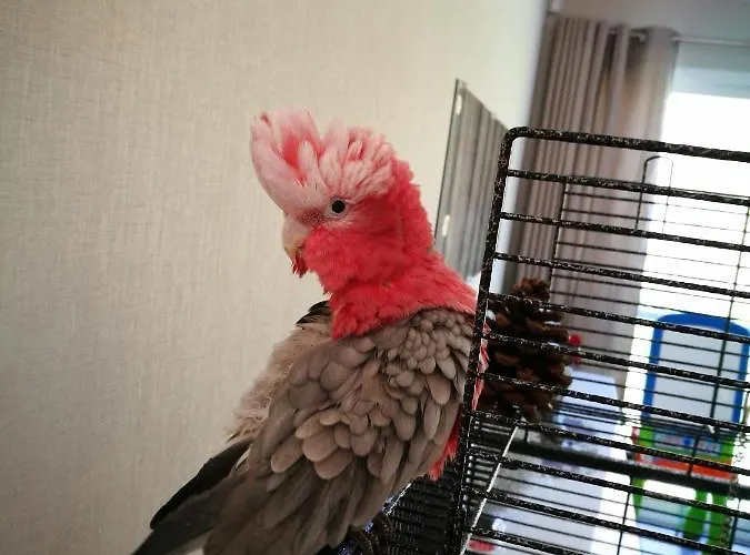 Céline Et José Séjour chez l'habitant Cubzac-les-Ponts