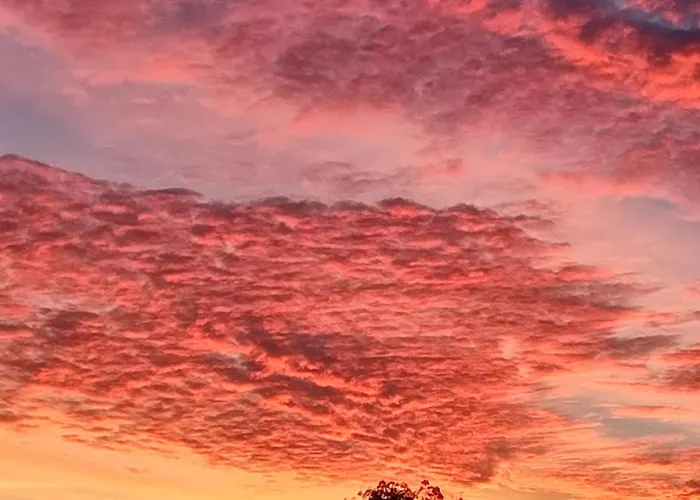 Séjour chez l'habitant Céline Et José Cubzac-les-Ponts